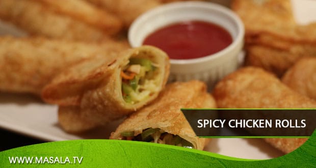 Spicy Chicken Rolls