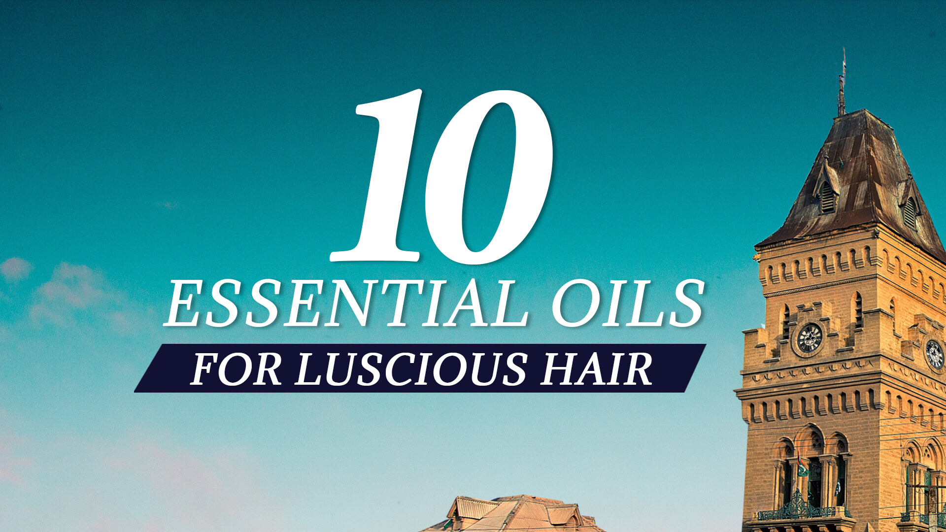 10 Essential Oils for Luscious Hair | Empress Market