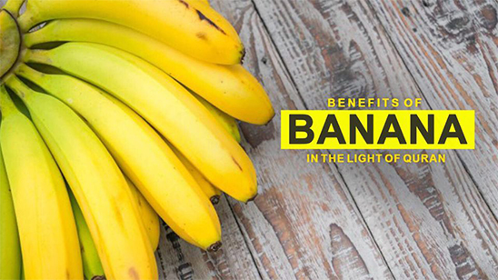 Benefits of bananas in the Light of Quran