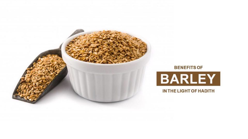 Benefits of Barley in the light of Hadith