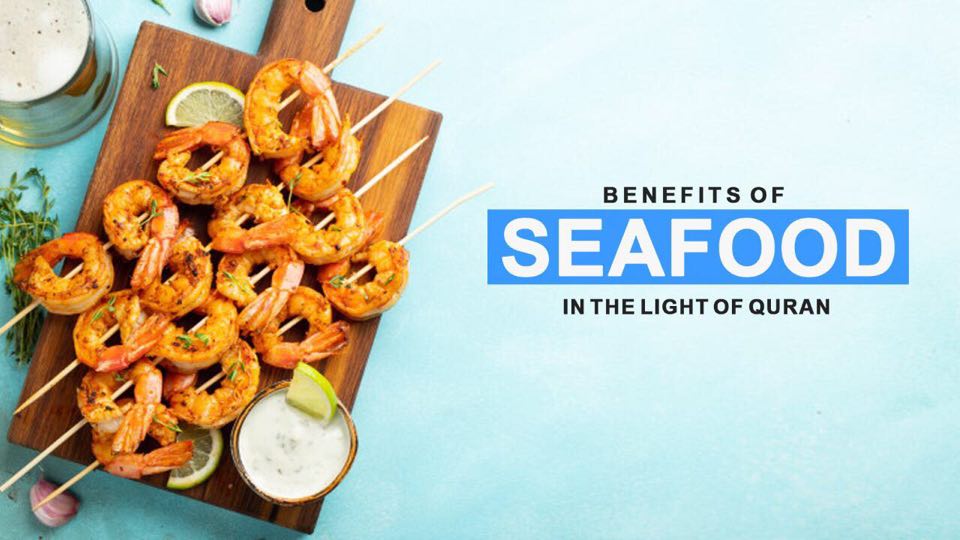 Benefits of Seafood in the Light of Quran