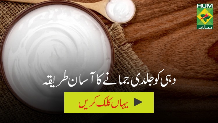 Dahi ko jaldi jamanay kay liye