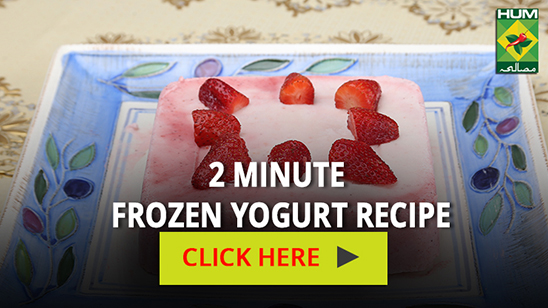 2 Minute Frozen Yogurt Recipe | Totkay